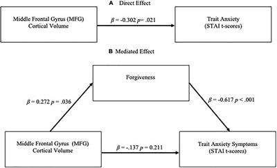 Forgiveness Mediates the Relationship Between Middle Frontal Gyrus Volume and Clinical Symptoms in Adolescents